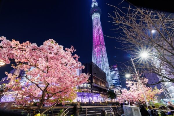 Tokyo Skytree Observatory Travel Assistance - Image 3