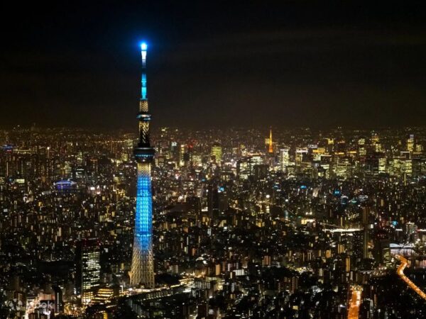 Tokyo Skytree Observatory Travel Assistance - Image 5