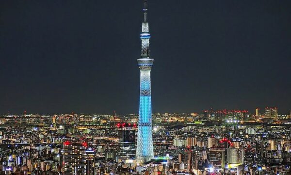 Tokyo Skytree Observatory Travel Assistance - Image 6