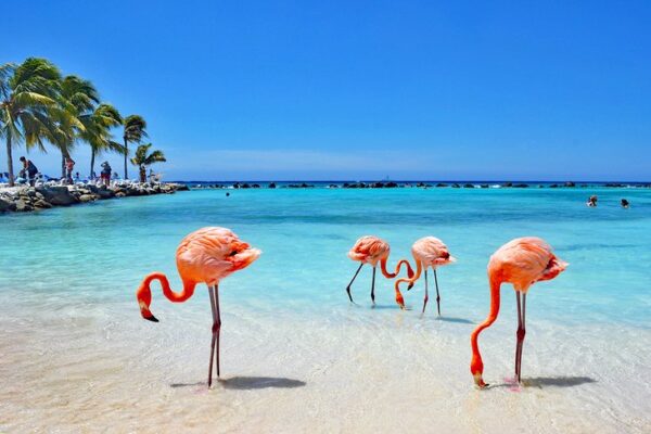 Aruba Travel Assistance - Image 5